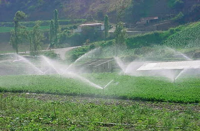 LA NUEVA CARAVANA ASPERSION