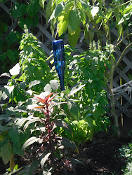 bottle garden