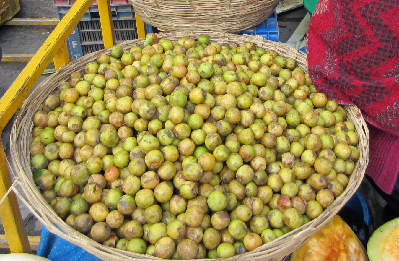 Taste of Nepal Lapsi Nepalese Hog Plum