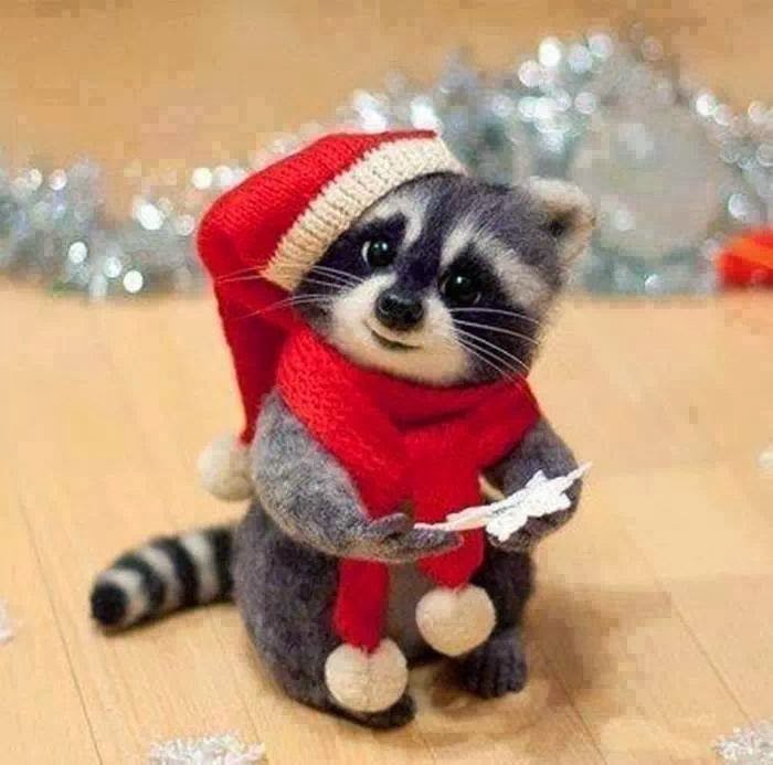 Weihnachtsbilder: Schöne Weihnachtsgrussbilder