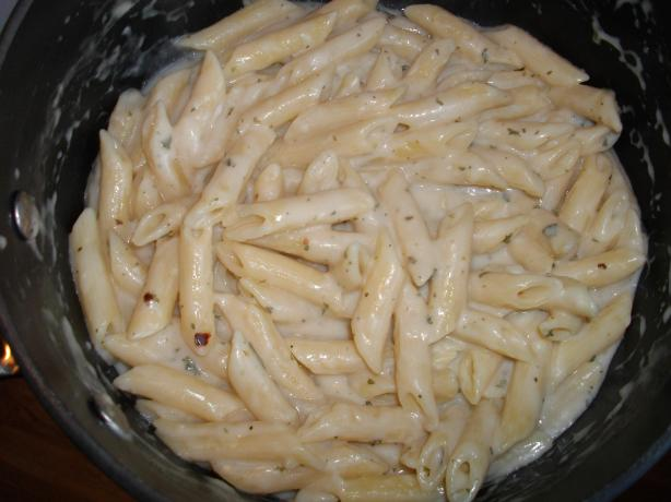 creamy creamy pasta garlic penne garlic italian recipes free pasta pasta recipes recipe delicious creamy creamy pasta garlic penne garlic italian recipes free pasta pasta recipes recipe delicious