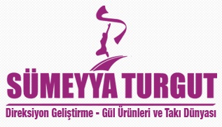 Sümeyya Turgut Direksiyon Geliştirme Merkezi