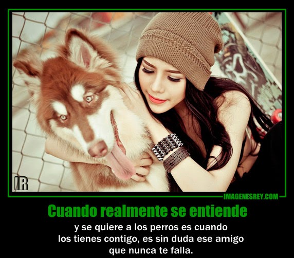 Cuando realmente se entiende y se quiere a los perros es cuando ... Cuando realmente se entiende y se quiere a los perros es cuando ...