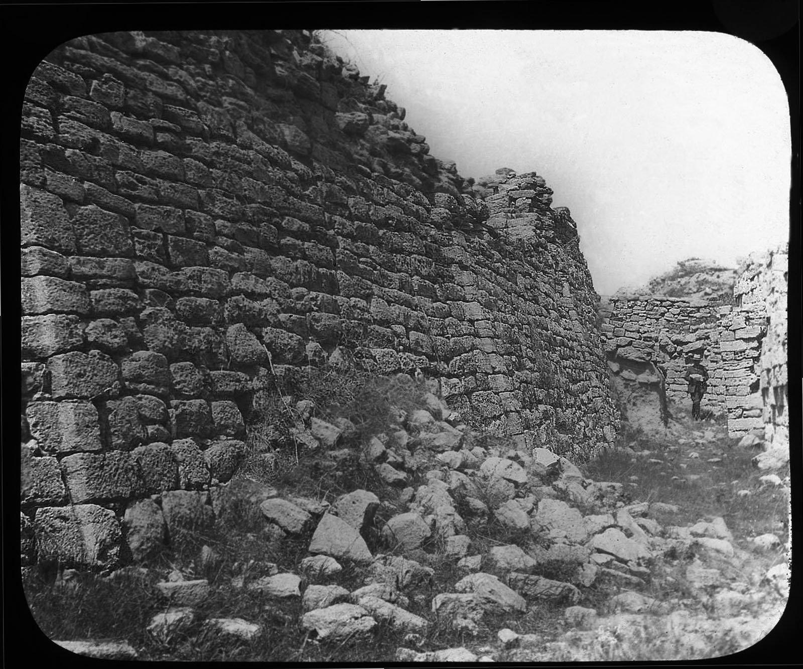 Pantalone E Dottore 2012