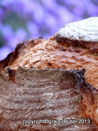 http://salzkorn.blogspot.fr/2012/04/favorit-schwabisches-kartoffelbrot.html