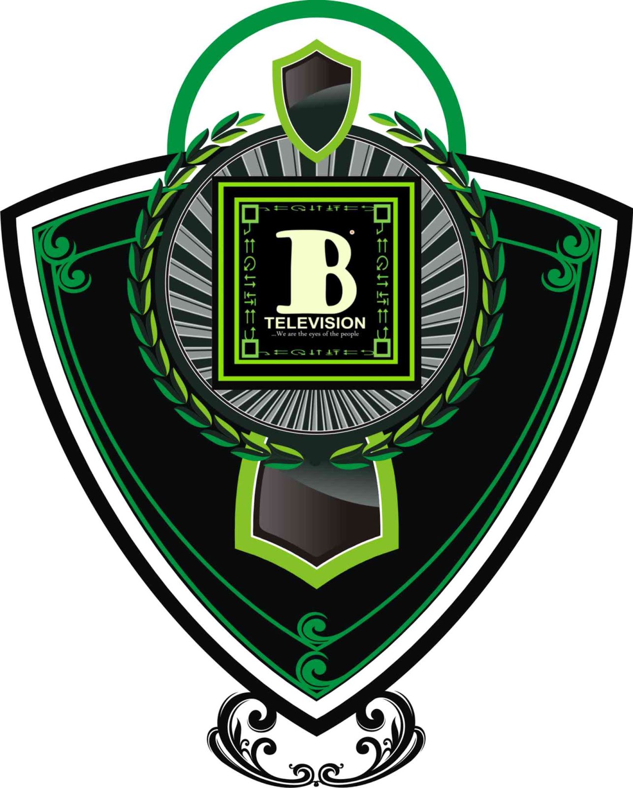 BtvNigeria Official Logo