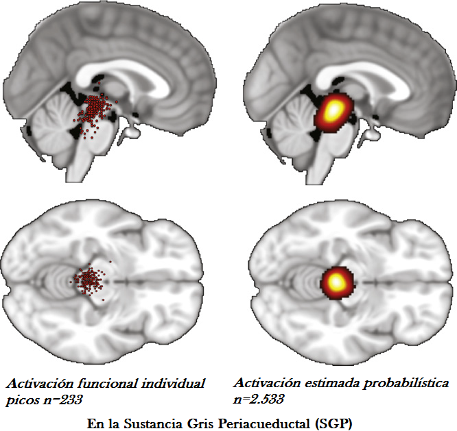 Opiniones de Sustancia gris
