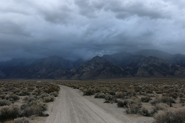 Stormy Day