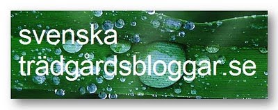 Svenska trädgårdsbloggar