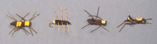 Picture of four types of foam-bodied surface bug flies.