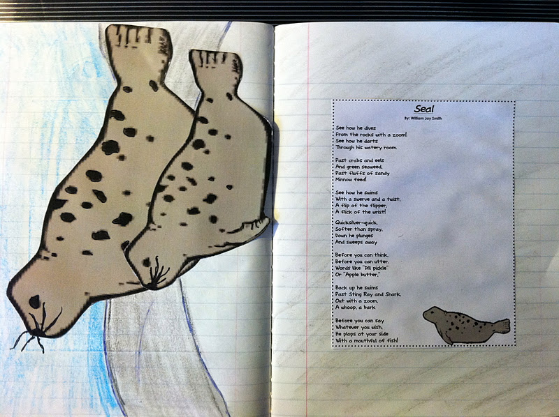 Mr. Cavileer's 2nd Grade Blog A Harbor Seal Pup Grows Up Poem