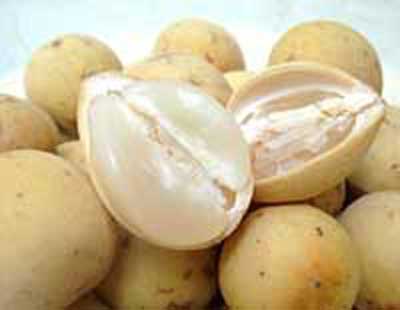 Duku Fruit for Health Benefits | Easy Healty