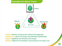 CONCEPTO DE SALUD TIENS