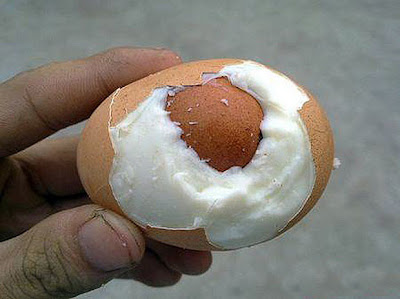 telur di dalam telur