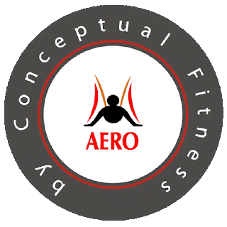 YOGA AEREO AERIAL PILATES AERO FITNESS SANTIAGO DE CHILE