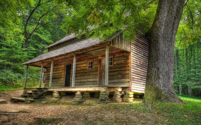 Las más bellas cabañas del bosque