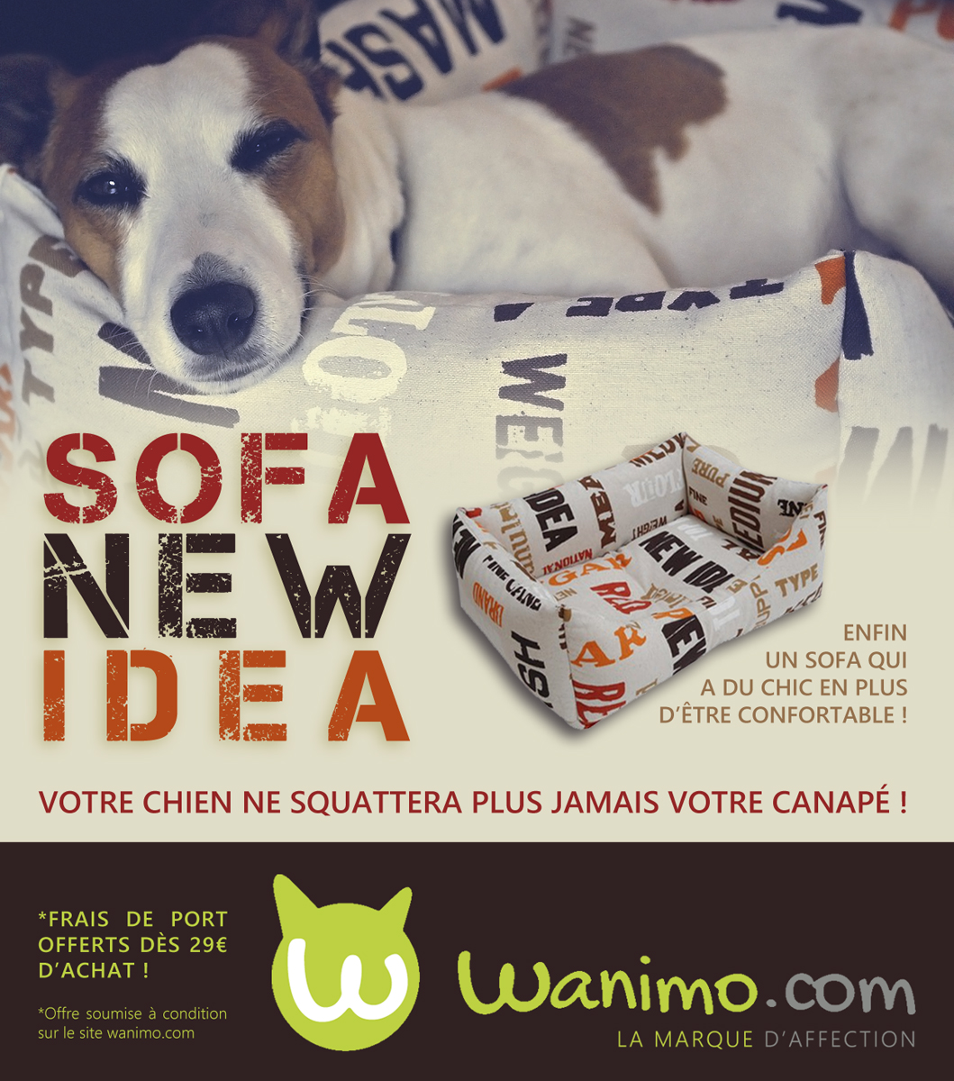 http://www.wanimo.com/fr/chiens/couchage-pour-chien-sc4/sofa-new-idea-motifs-taille--sf13841/