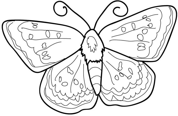 Butterfly Coloring Pages