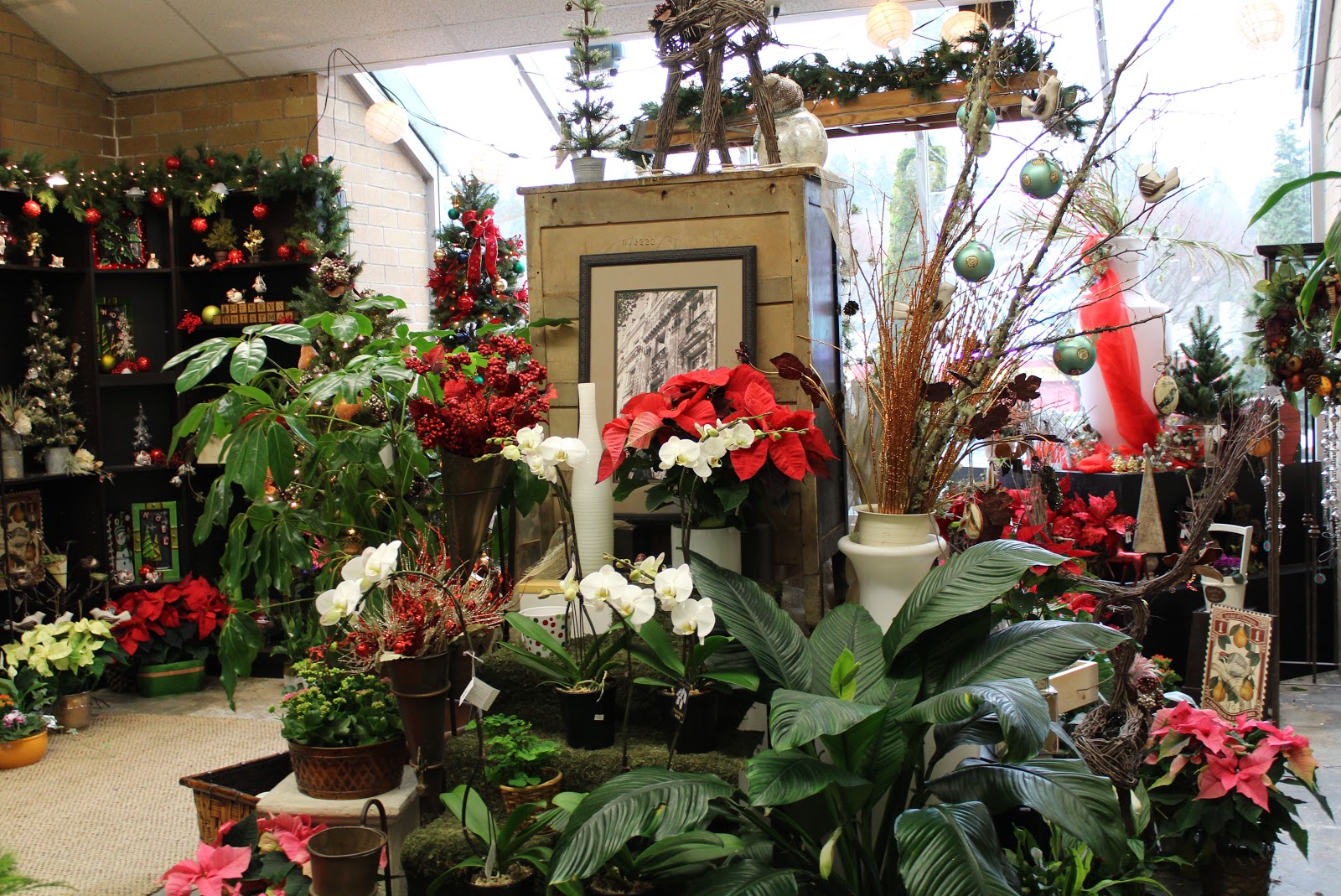 Christmas at the Flower Shop