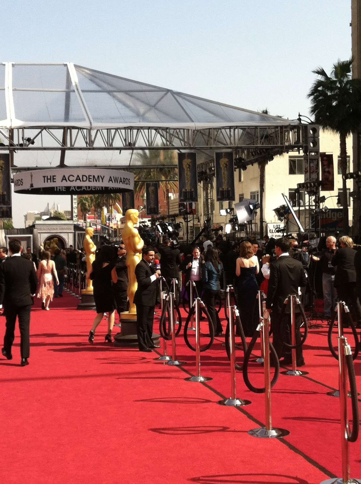 Red Carpet Closet What Does the Oscars Red Carpet Really Look Like?