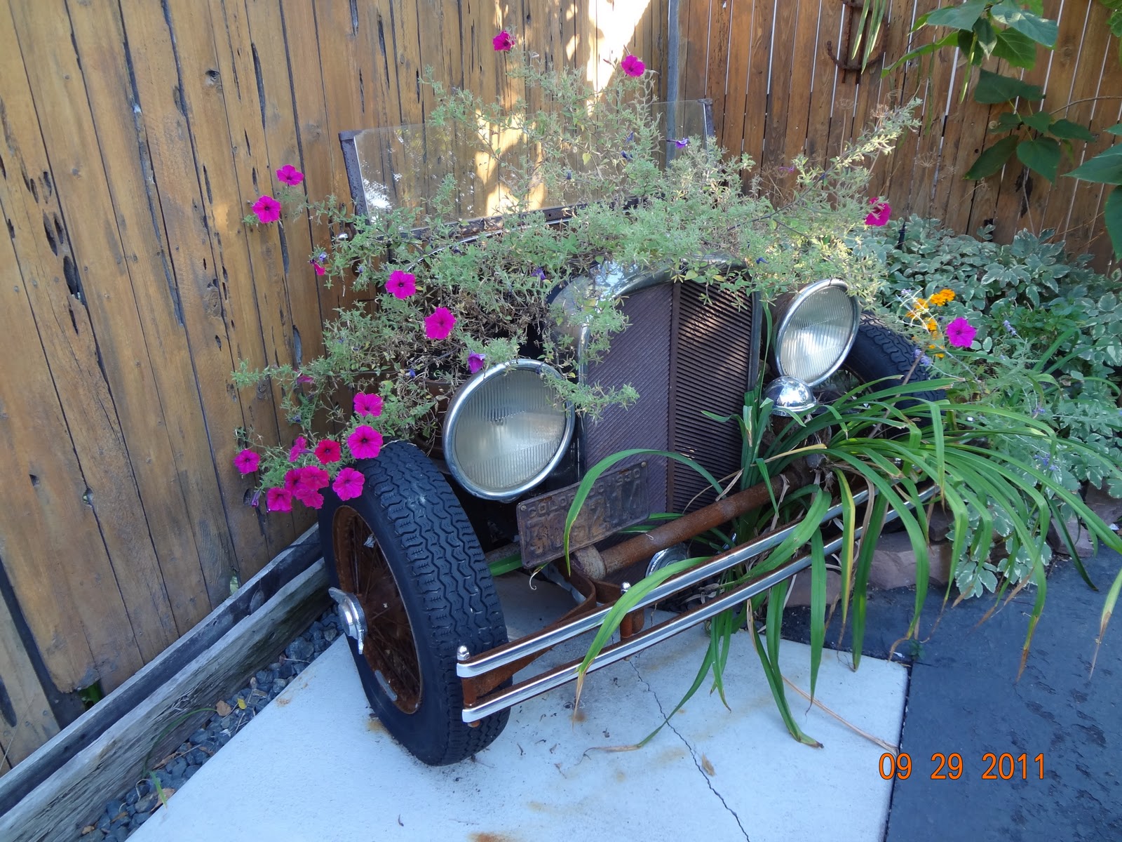 Colorado Cowgirl Gardening Look what I found in a Lakewood yard 1930