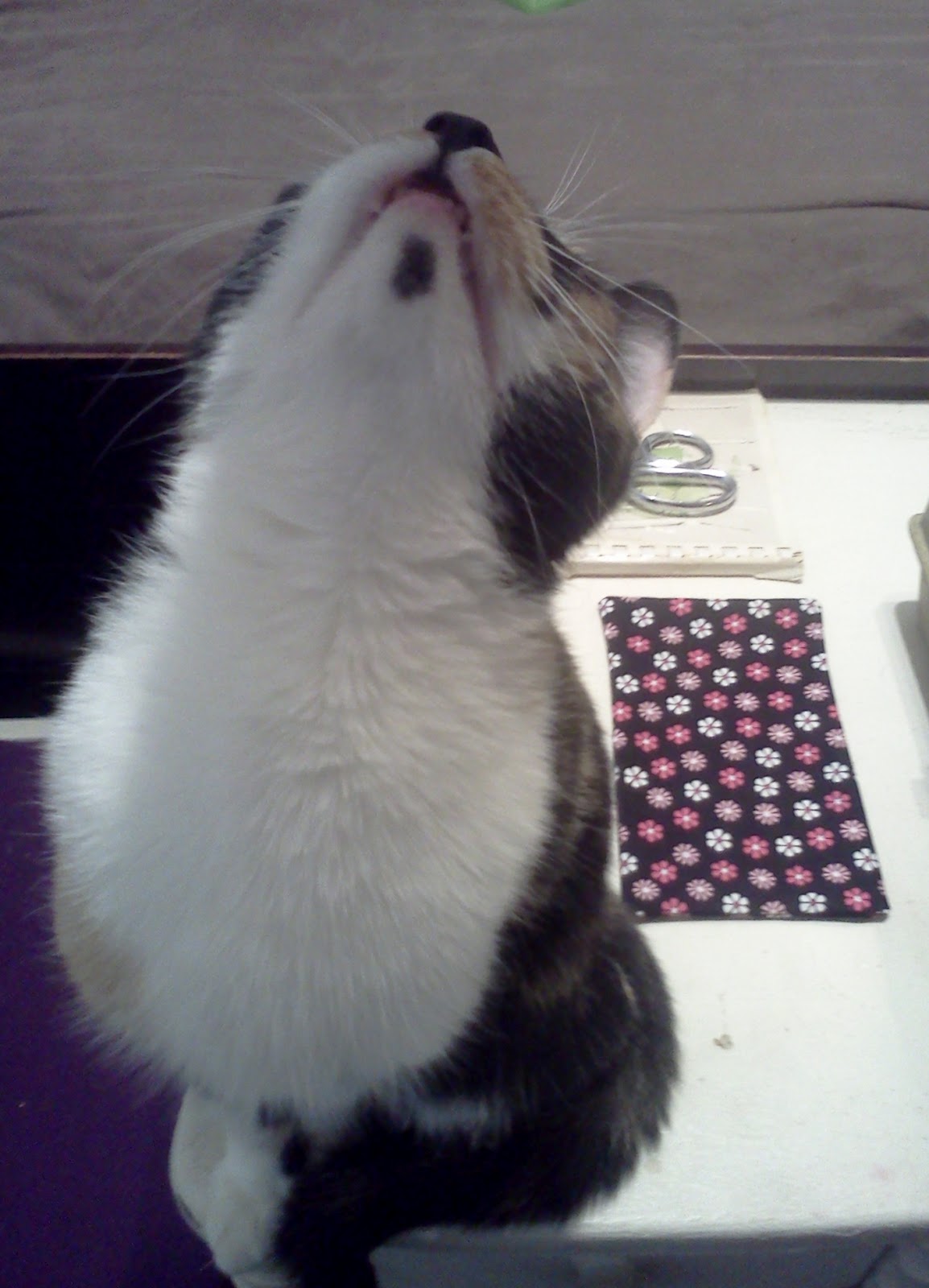 Crystalfaith's Creations