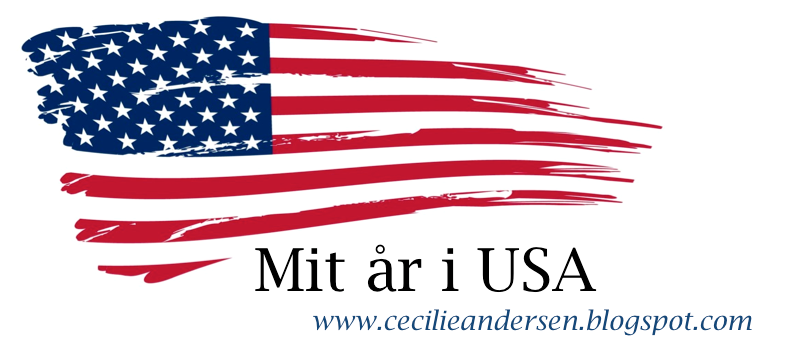 Mit år i USA