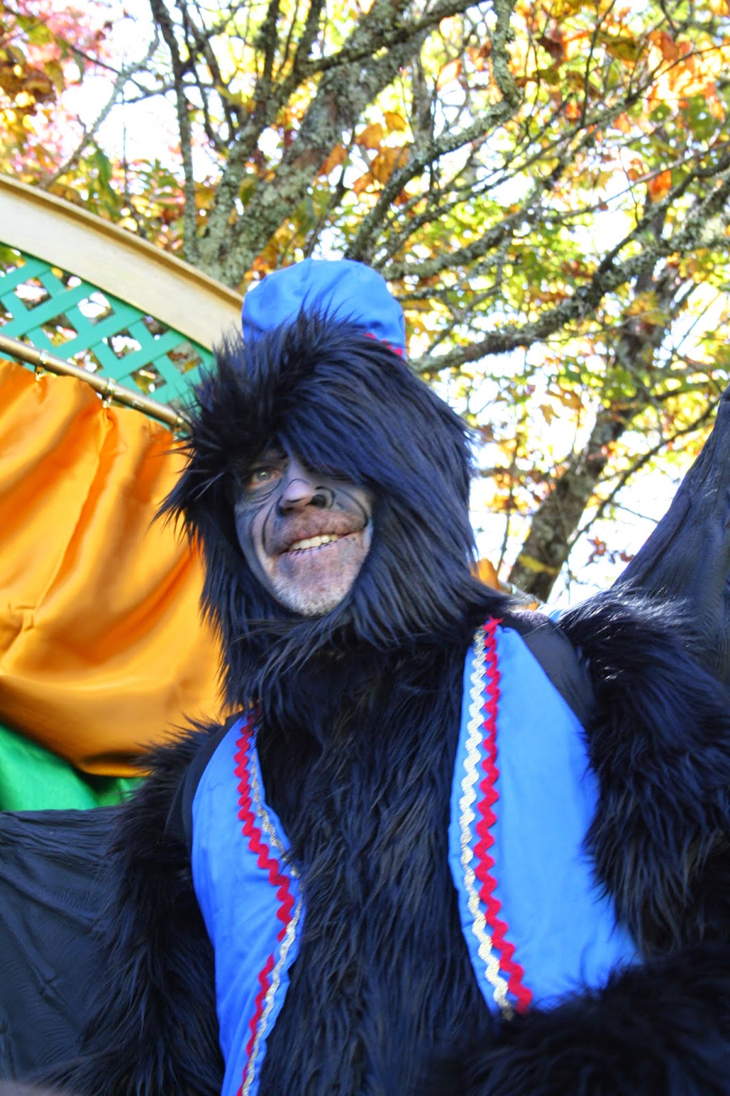 The Carpetbagger The Land of Oz