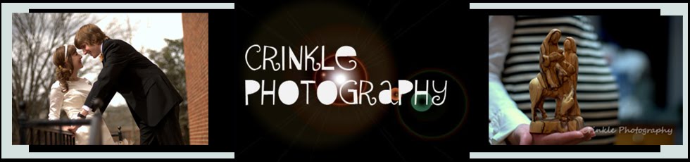 Crinkle Photography