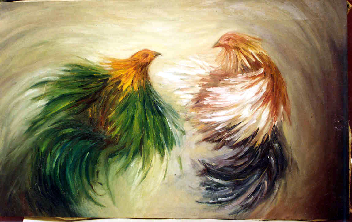 Gallos Y Galleros Los Gallos De Pelea En México.