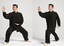Professional Tai Chi Clothing, Click to Buy