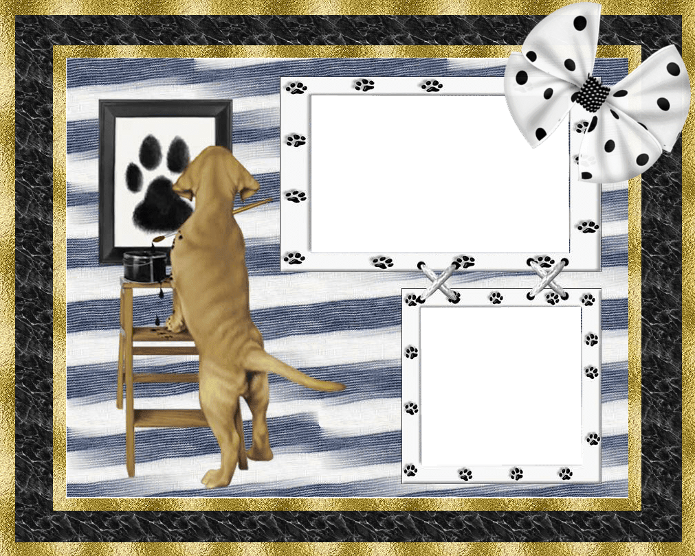 ZOOM DISEÑO Y FOTOGRAFIA frames,marcos para fotos png