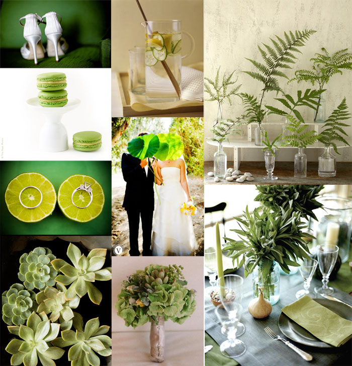 Here is how you can apply a green wedding theme into decorations
