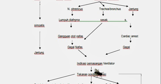 Asuhan keperawatan pada perdarahan post partum pdftum pdf