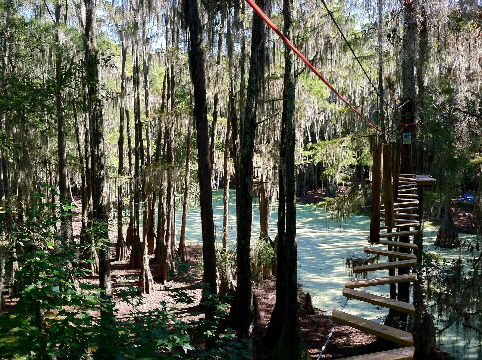 The TreetoTree Adventure at Tallahassee Museum The World of Deej