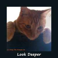 Corey The Orange Cat - Look Deeper