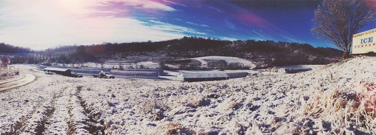 The winter wonderland where we grow your veggies.