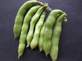 fava beans