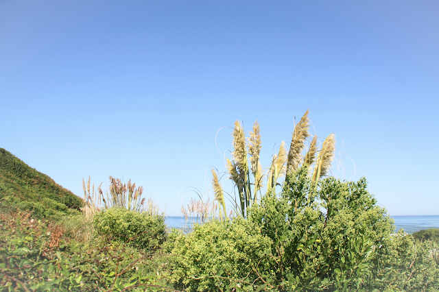 guéthary,billabong women europe,ines,marie reigniez,diane sagnier,hiver 2015,photo-shooting,making off