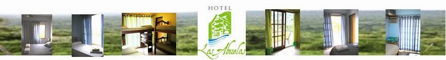 Hotel Los Abuelos