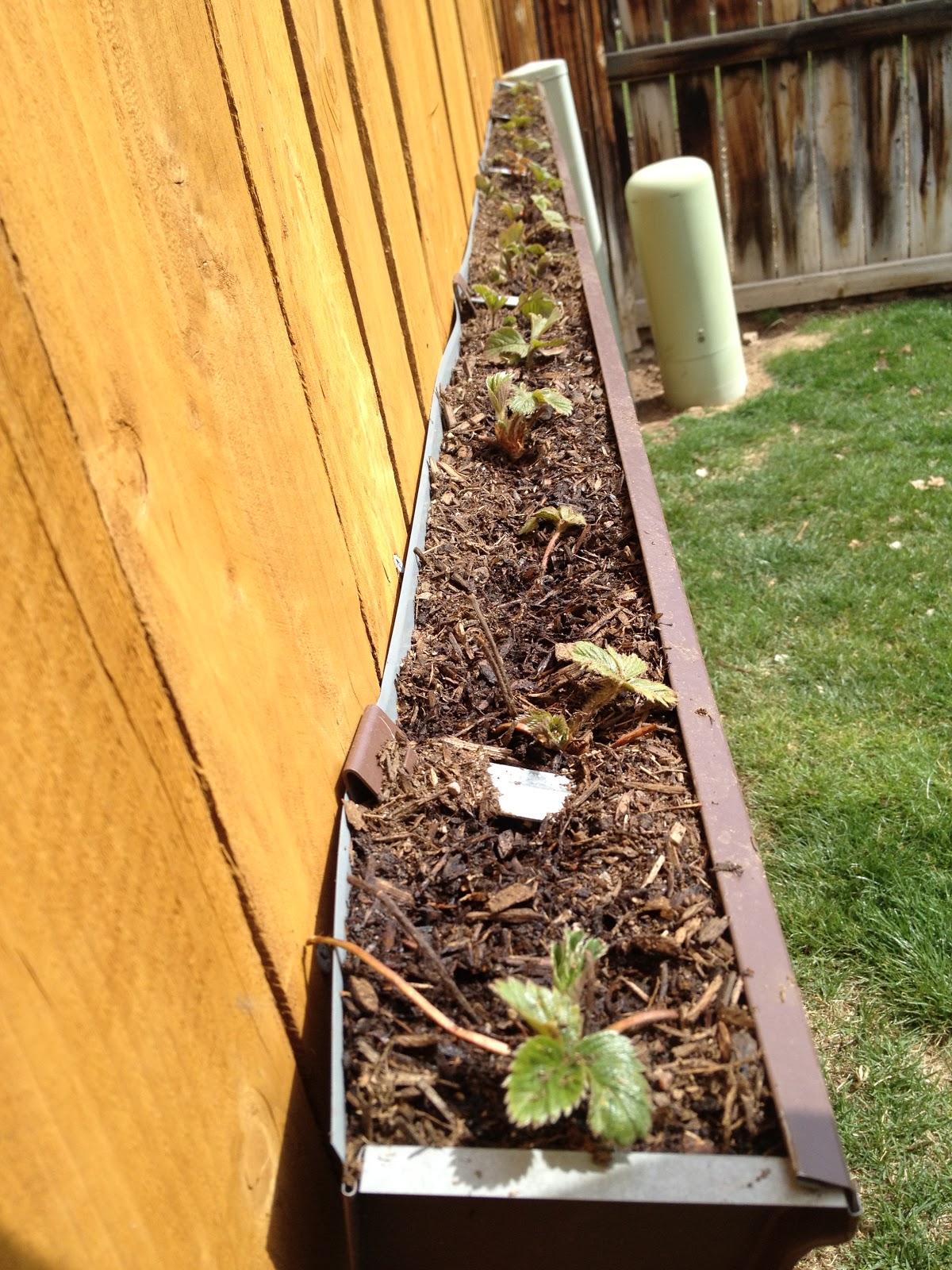 It's still being written... Gutter Gardening