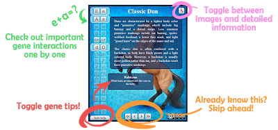 Jeno's Art and Musings: Horse Color Genetics Simulator