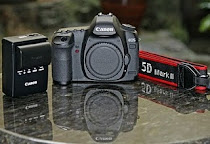 Canon 5D Mark II