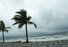 Minha cidade maravilhosa RJ!