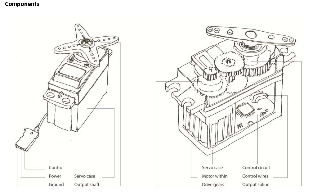 buckylab HOW IT WORKS SERVO
