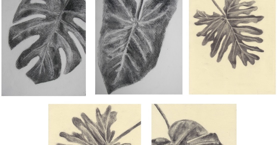 The Rolling Artroom Drawing Leaves in Charcoal