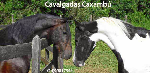 CAVALGADAS  CAXAMBU   Passeios por trilhas e cachoeiras