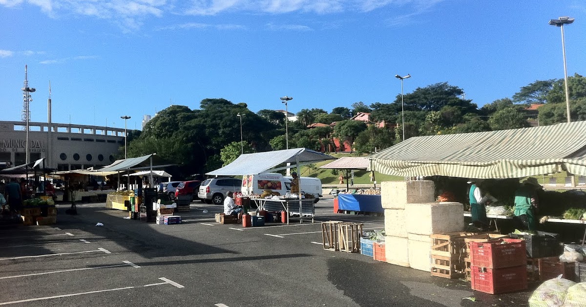 e-Boca Livre: Sacoleiro sem fronteiras: regra numero um, não meter o pé