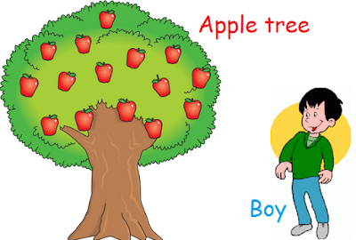 cerita cingkat narrative tenata anak dan pohon apple bahasa Inggris