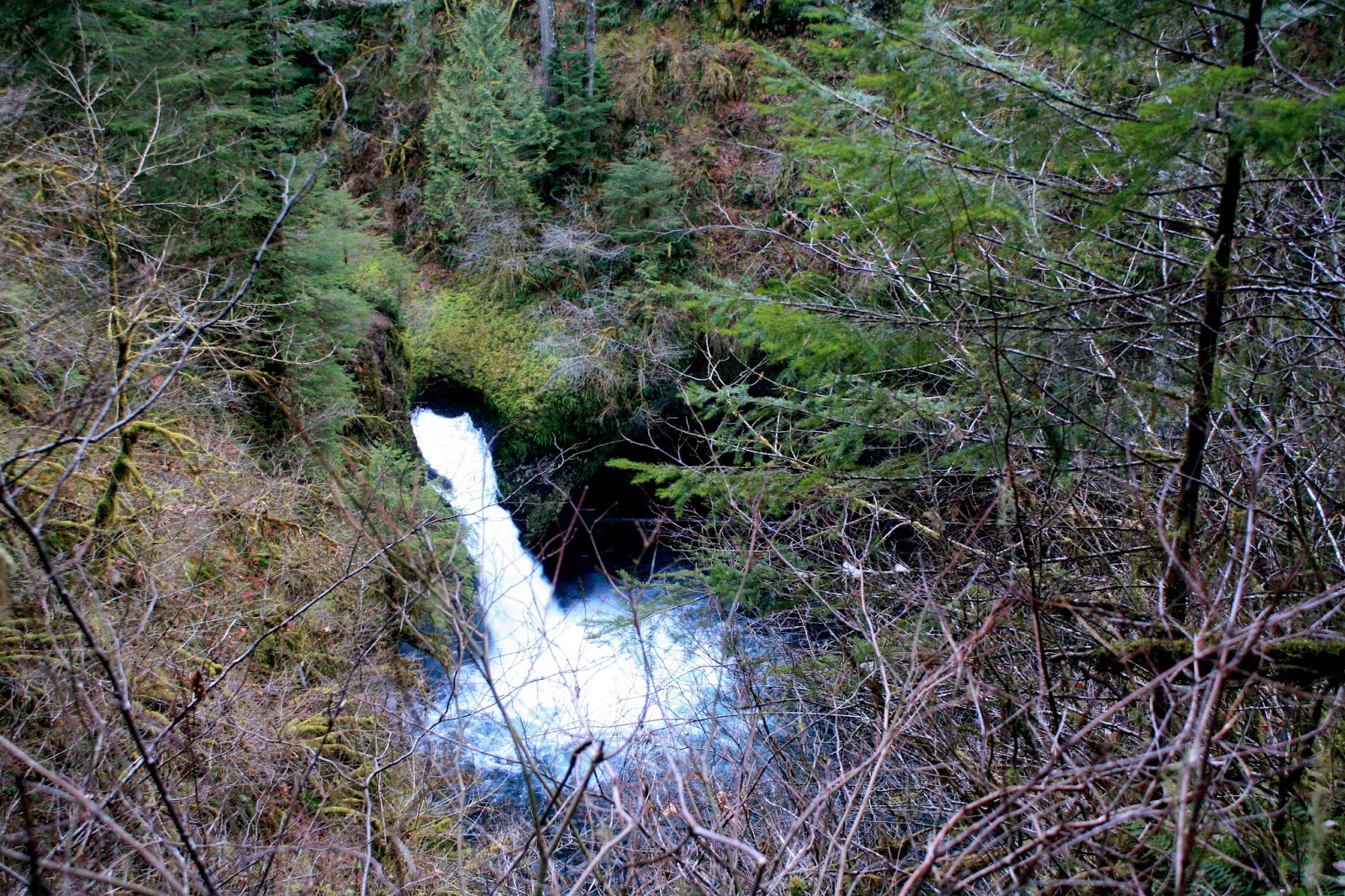 Wildflowers & Whiskey Hiking the Eagle Creek Trail
